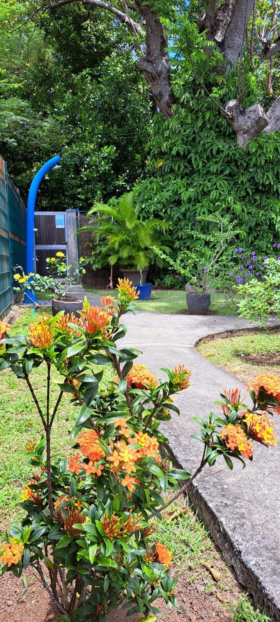 Villa Reve Creole Deshaies Exterior foto