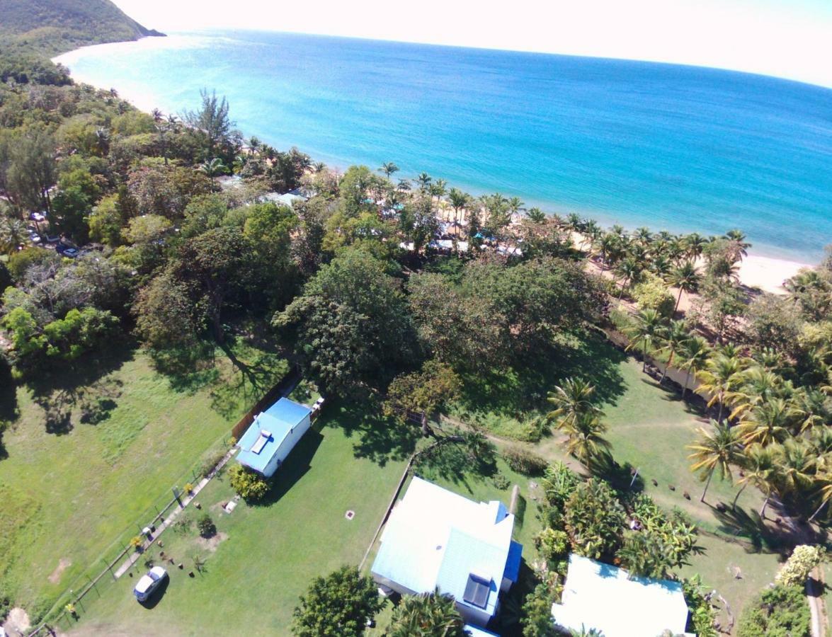 Villa Reve Creole Deshaies Exterior foto